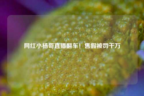 网红小杨哥直播翻车！售假被罚千万